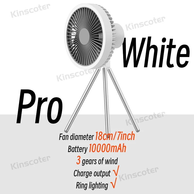 Electric Fan with Power Bank LED Lighting