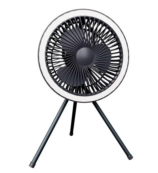 Electric Fan with Power Bank LED Lighting