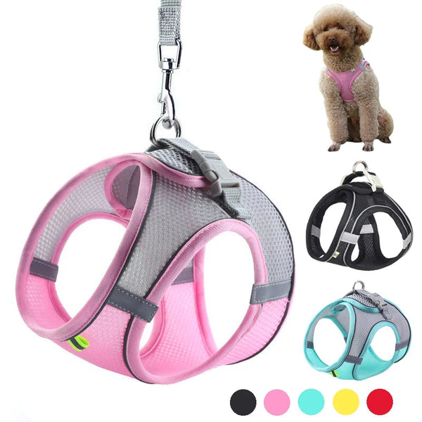 Dog Harness Leash Set for Small Dogs
